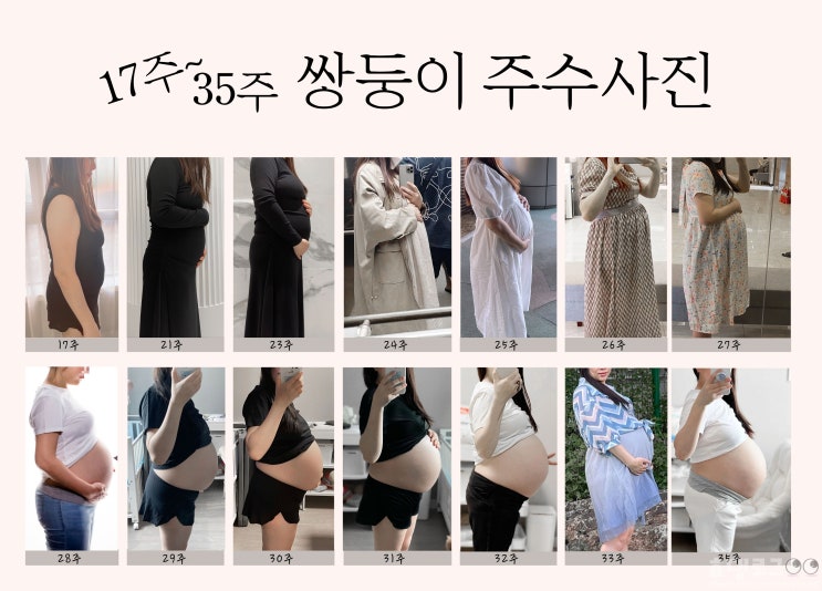 쌍둥이 임신증상 4주~35주|주수사진+초음파 쌍둥이 임신증상 4주~35주|주수사진+초음파