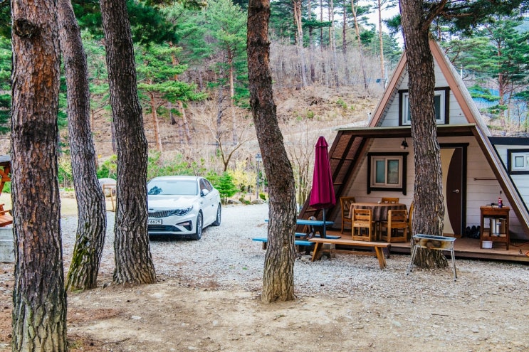 강원도 여름휴가로 추천하고 싶은 삼척펜션 포레스트, 에어비앤비에서 예약 강원도 여름휴가로 추천하고 싶은 삼척펜션 포레스트, 에어비앤비에서 예약