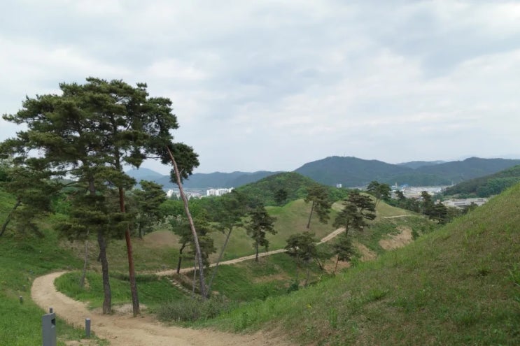  고령 가볼만한곳 대가야 박물관과 고분군 역사테마관광지 카페 오르는능