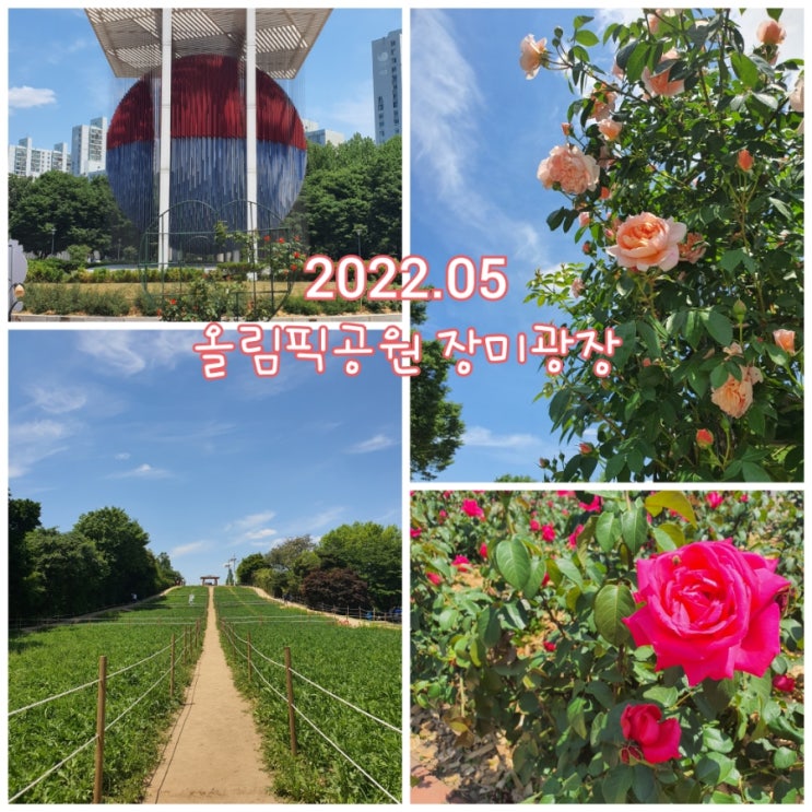  올림픽공원 장미광장 꽃구경, 여름의 들꽃마루 포토존