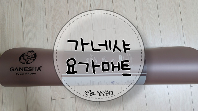 내돈내산) 홈트에 필수인 가네샤 요가 매트 울트라 컴포트 6mm 솔직후기
