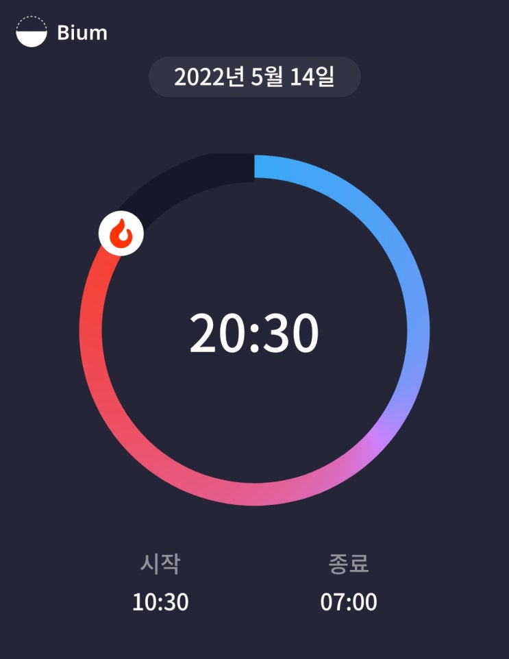  [간헐적 단식 28일차] 하체 근력 운동 4주 후기