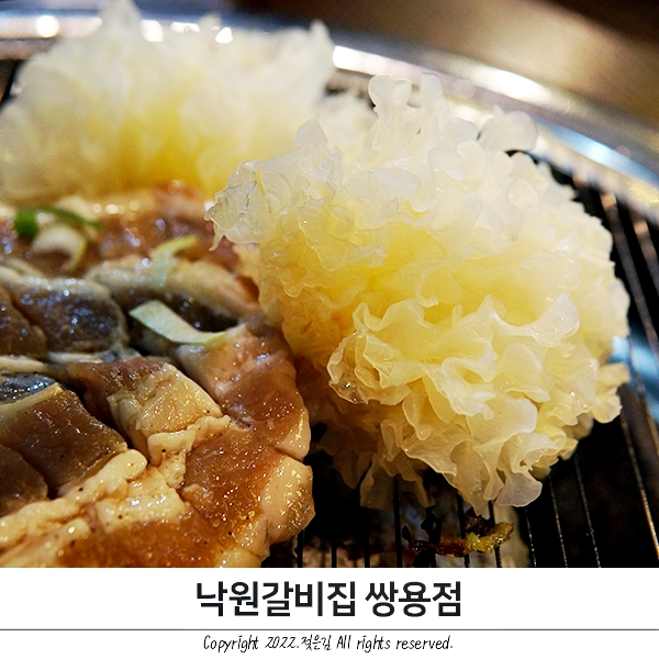 천안 갈비집 낙원갈비집 쌍용점 천안 돼지갈비 맛집이네요