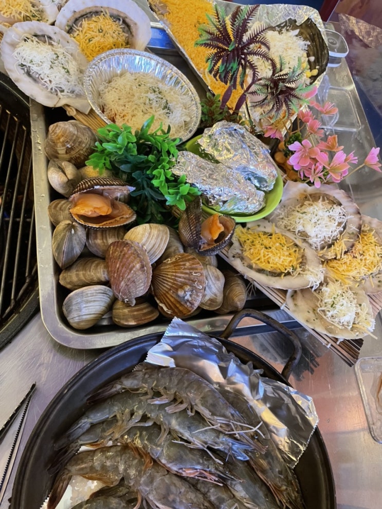  강릉 다이닝조개 세인트존스호텔 옆 애견동반 조개맛집! 내돈내먹 후기
