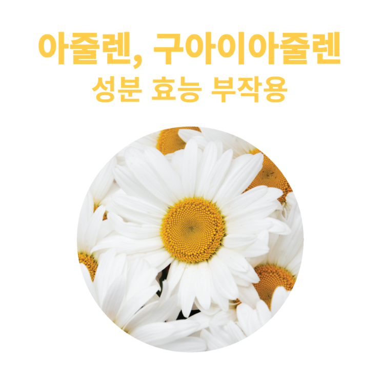 아줄렌 구아이아줄렌 성분 효능 부작용 아줄렌 구아이아줄렌 성분 효능 부작용