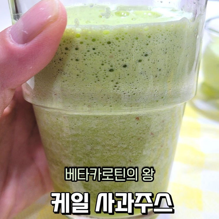  케일 먹는 법 요구르트 케일 사과 주스 만들기, 케일 효능으로 건강 예방해요