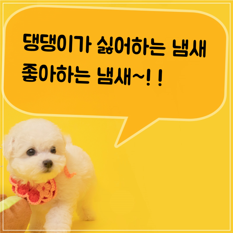  강아지가 싫어하는 냄새  좋아하는 냄새~!