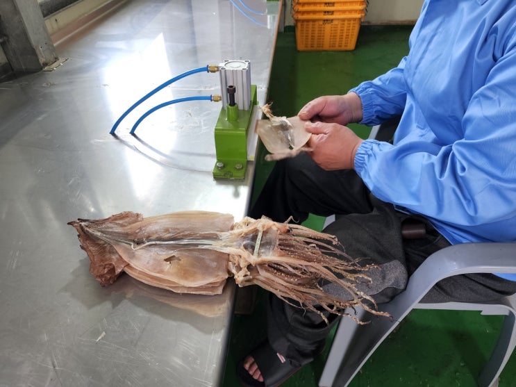  “맨발로 마른오징어 꾹꾹... 포항 수산물 시장 영상 충격” 보도 일부 외국인 선원의 일탈로 밝혀져