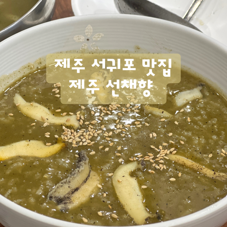  제주 서귀포 안덕면 맛집 '제주선채향'에서 전복죽과 전복 칼국수 먹고 온 후기