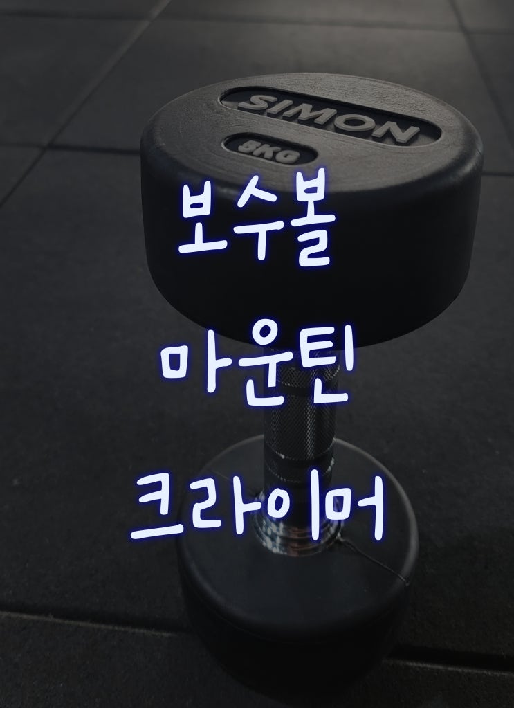  [헬린이#24] PT: 보수볼 마운틴 클라이머
