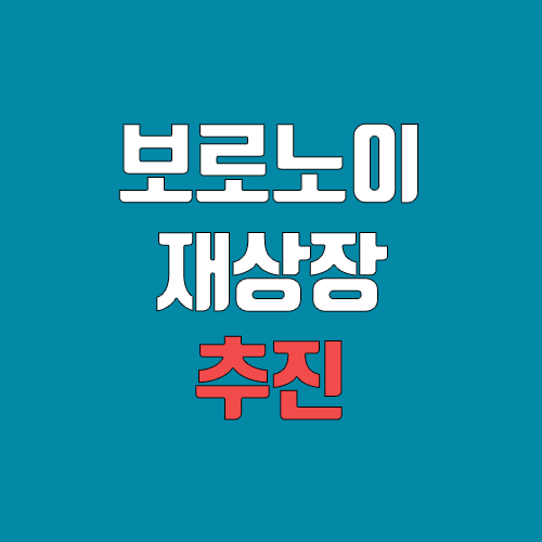 보로노이 재상장 추진 (공모주 청약, 주관사, 일정, 공모가, 철회) 보로노이 재상장 추진 (공모주 청약, 주관사, 일정, 공모가, 철회)