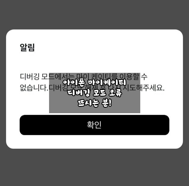  케이티 디버깅 모드, 아이폰 디버깅 모드