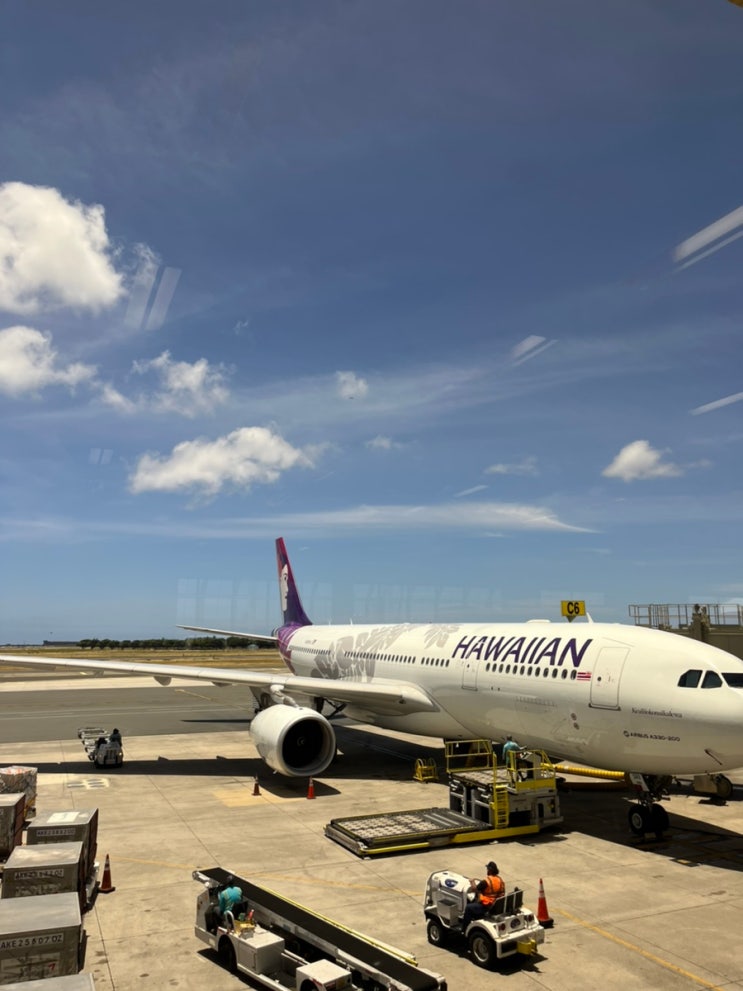 하와이 신혼여행 | 하와이안항공 출입국 전 신속항원검사 / 귀국 하와이 PCR 무료검사