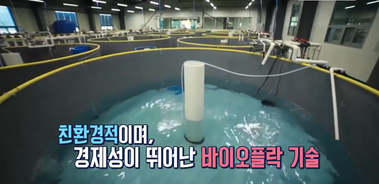  [바이오플락 양식] 암모니아성 질소 측정기, 수질관리, 수질측정기, 새우양식, 양식장수질관리