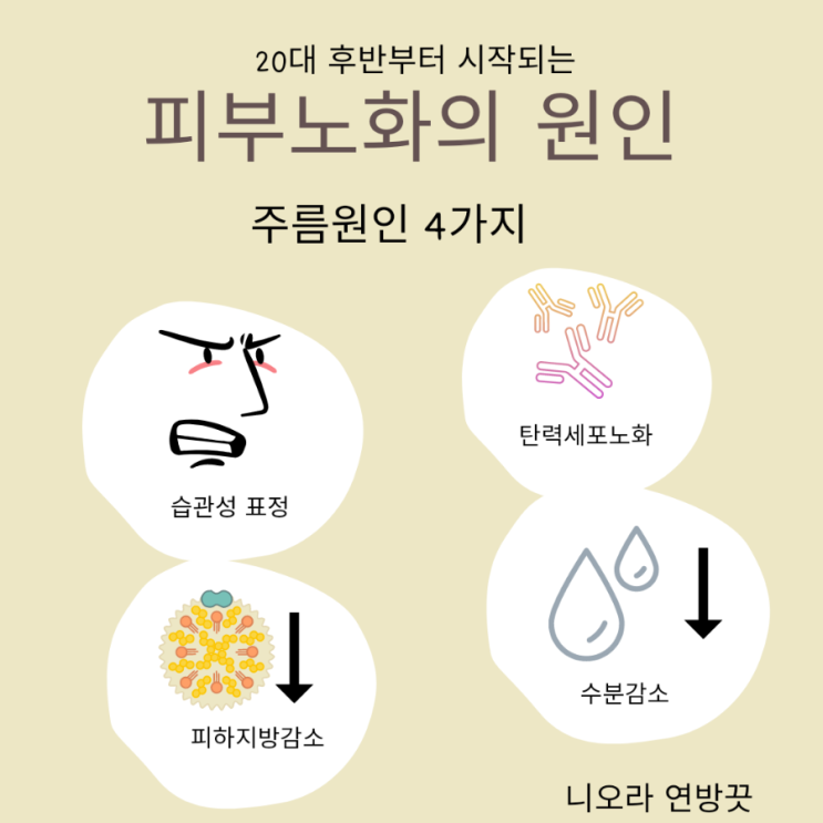  주름고민 이제 그만! 니오라 나이트크림