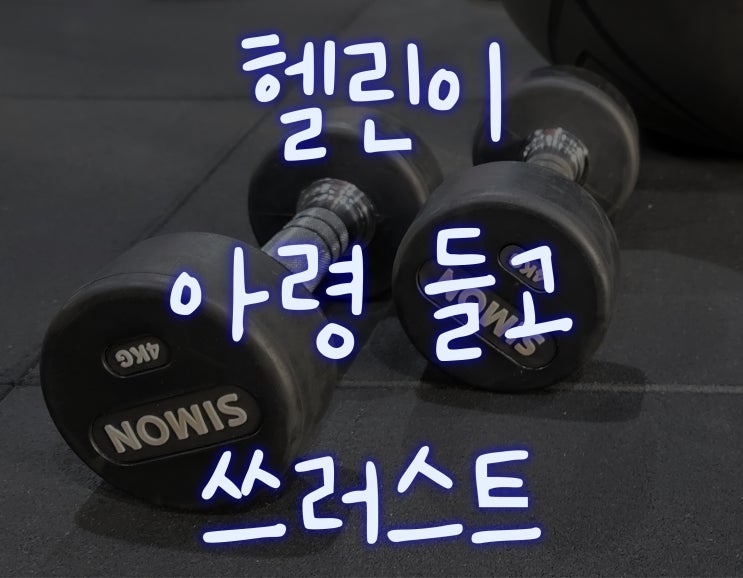  [헬린이#22] PT: 아령 들고 쓰러스트