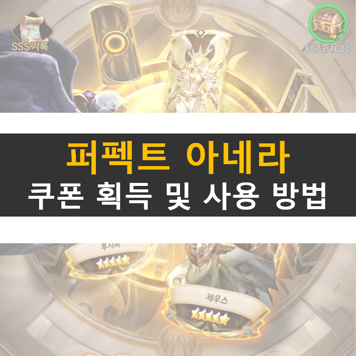 퍼펙트 아레나 쿠폰 획득 및 사용 방법 퍼펙트 아레나 쿠폰 획득 및 사용 방법