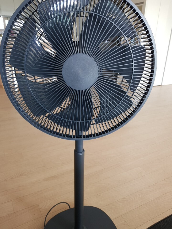 르젠 BLDC 무소음 선풍기 무광블랙 르젠 BLDC 무소음 선풍기 무광블랙