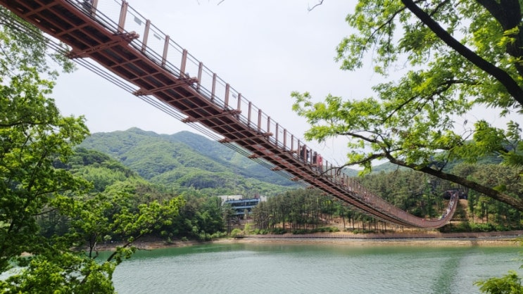 파주 가볼만한 곳(마장호수 출렁다리,카페 레드브릿지,출렁다리 국수)