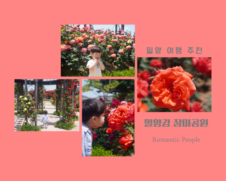 [밀양 여행]5월 봄꽃 축제 &lt;장미공원&gt;