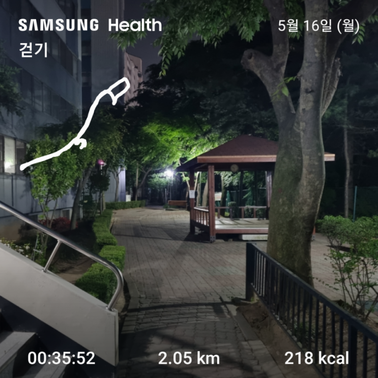  5월 16일, 오늘의 기록
