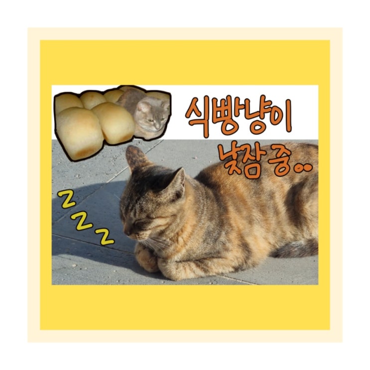  운동초보자의 에이블짐 불광점 PT30회 후기&QnA