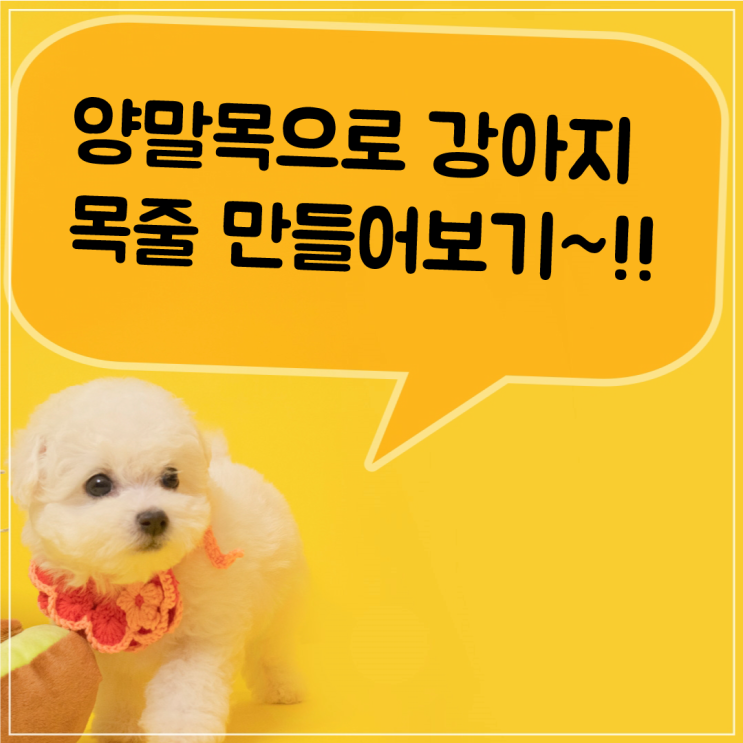  양말목으로 강아지 목줄 만들기~