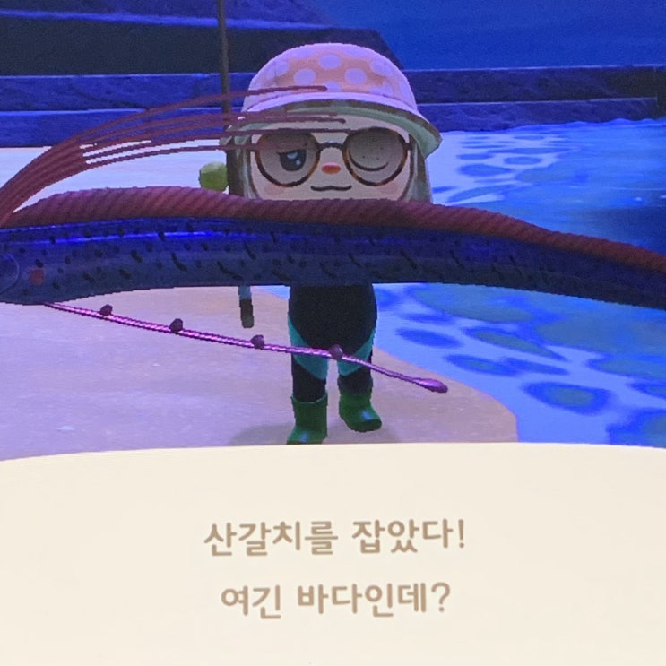 응 ? 이건... 모동숲 응 ? 이건... 모동숲