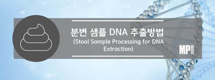 분변 샘플 DNA 추출을 위한 전처리 (Stool Sample Processing for DNA Extraction)