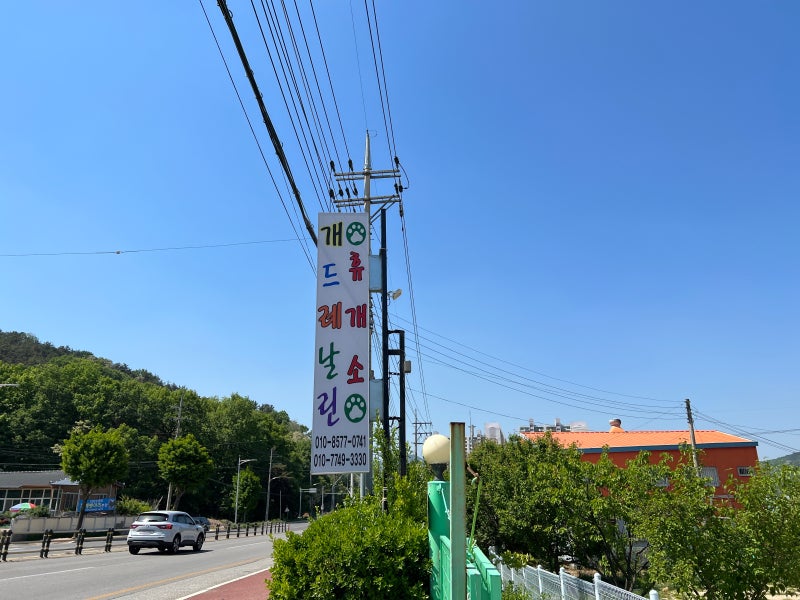 사진 2