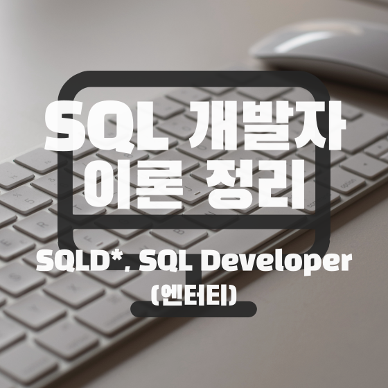 [SQLD] SQL 개발자 이론 정리 - 엔터티(Entity) -