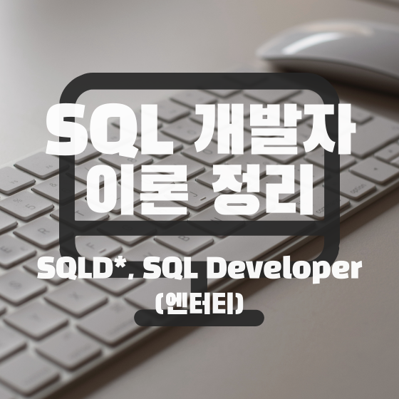  [SQLD] SQL 개발자 이론 정리 - 엔터티(Entity) -