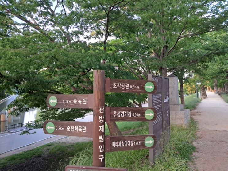  담양 여행의 시작은 어디? 관방제림에서 걸어서 여행하기!