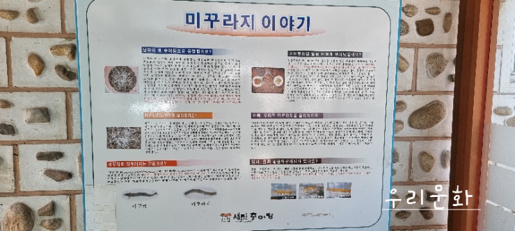 남원 맛집 새집 추어탕 미드슬로프 카페(남원핫플) 남원 맛집 새집 추어탕 미드슬로프 카페(남원핫플)