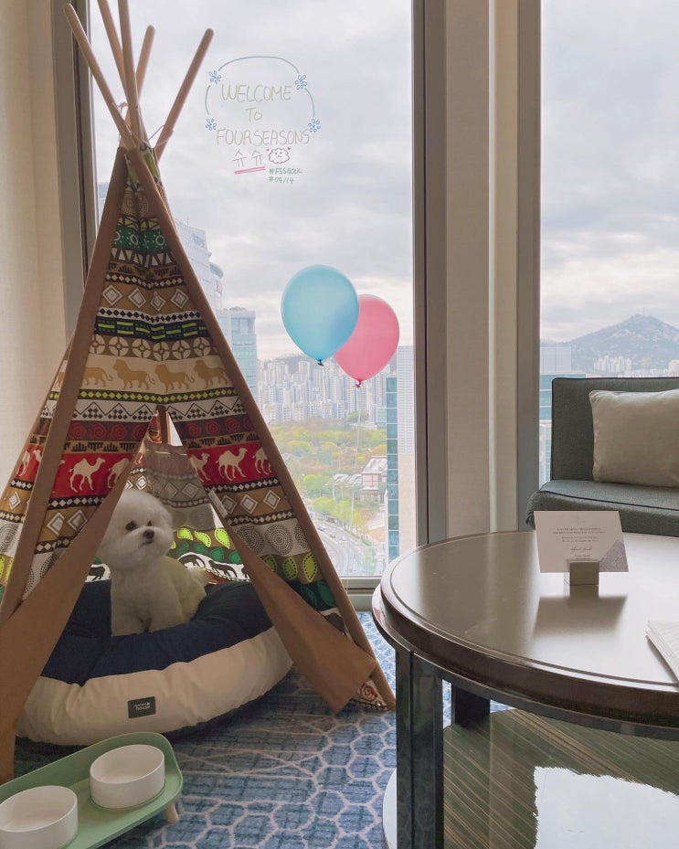  서울 애견동반호텔_포시즌스호텔 서울(FOURSEASONS HOTEL), 호캉스FLEX,스파_2일차