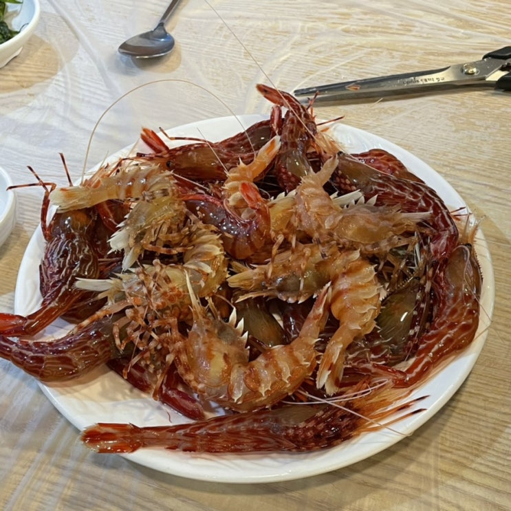  [울릉도] 회와 튀김으로 먹는 독도새우, 저동항 맛집 | 천금수산