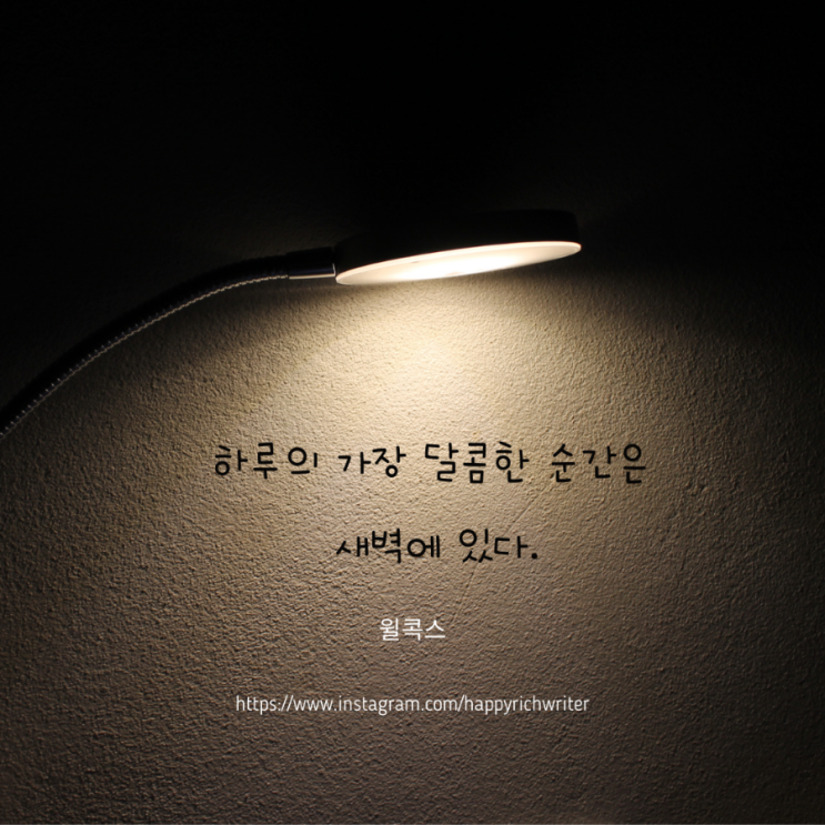  꿈블러들의 나를 찾아나가는 새벽 줌미팅 요약 (feat.지응지음이지영님)