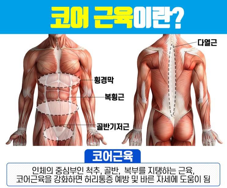  [충주숲 필라테스] 의사가 추천하는 운동 '필라테스'