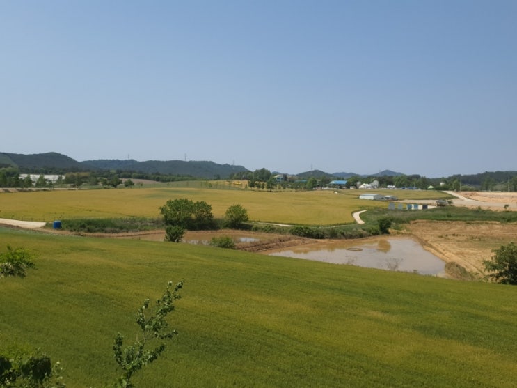 축제가 끝난 후 축제가 끝난 후