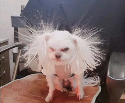 호연이네포차 사진 5
