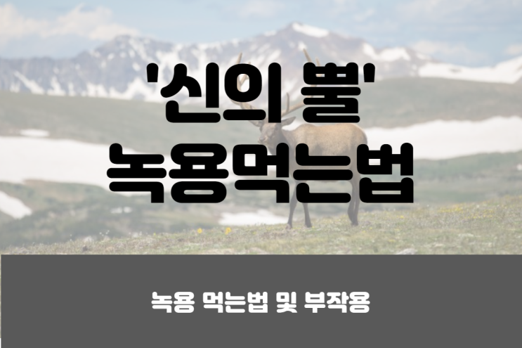  녹용 먹는법 및 부작용