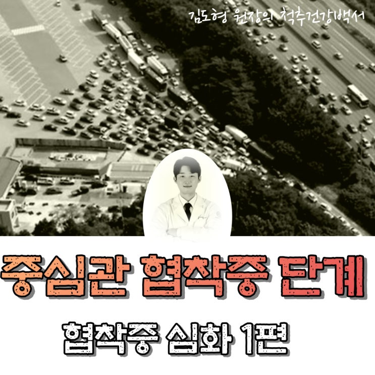  협착증 심화 1편. (중심관 협착증의 등급, 협착증의 MRI 보는법)