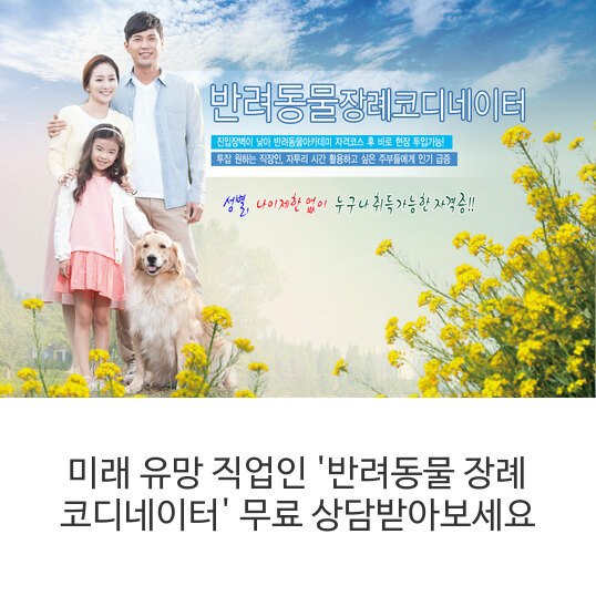  미래 유망 직업인 '반려동물 장례 코디네이터'  무료 상담받아보세요