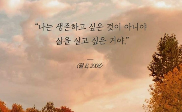  부거사이 [부동산 뉴스와 블로그] 5월 17일(화)
