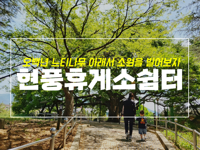  현풍휴게소 볼거리 500년 느티나무, 산책과 쉼이 있는 곳