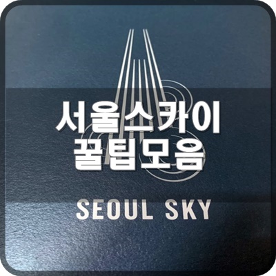  서울스카이 전망대 블로거가 정리한 꿀팁모음 VER 1.0