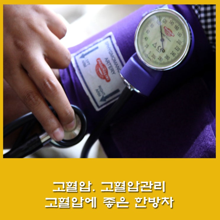  고혈압. 고혈압 수치. 고혈압 관리