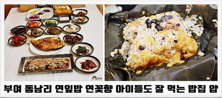  부여 동남리 연잎밥 연꽃향 아이들도 잘 먹는 밥집 얍