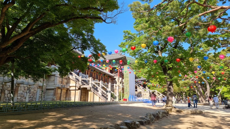  경주 역사여행 불국사