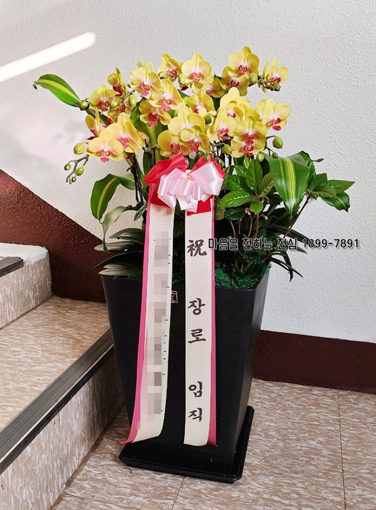  장로 임직을 축하하는 꽃다발과 나비모양 노랑호접 서양란